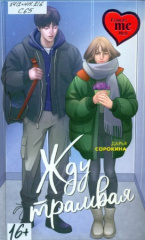 Сорокина Дарья Михайловна. Жду трамвая