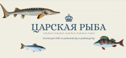 Коллекция «Царская рыба» (12+)