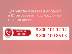 Для участников СВО и их семей работает круглосуточная горячая линия по вопросам оказания медицинской помощи (12+)