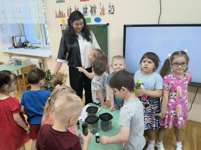 Лесная аптека служит человеку