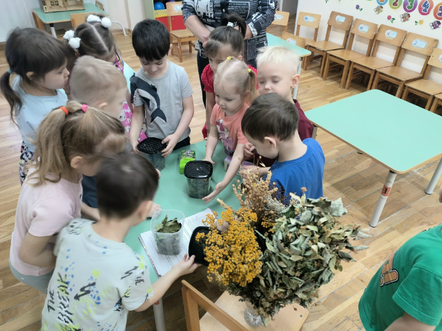 Лесная аптека служит человеку